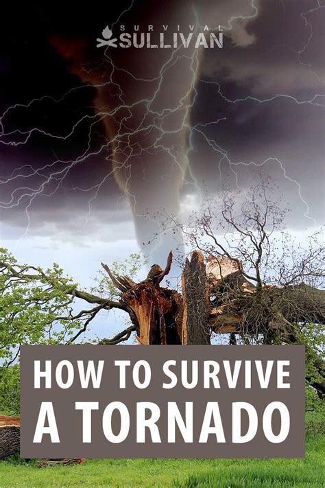 Surviving a Tornado in a Dream